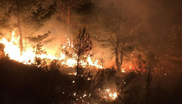 Çanakkale'de yangın: 15 dönümlük alan kül oldu