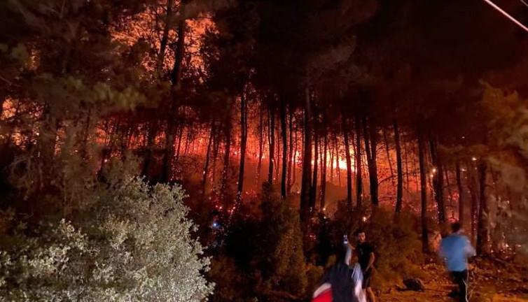 Fethiye'de orman yangını başladı. Halk söndürmek için seferber oldu