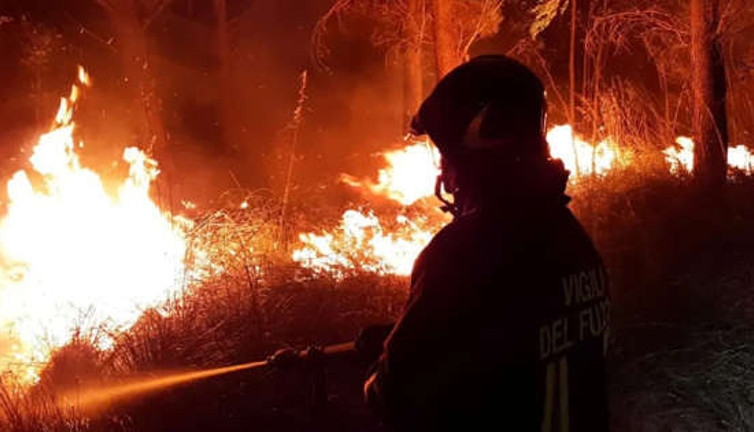 Milas’taki yangın, Kemerköy Termik Santrali’ne ulaşmak üzere!
