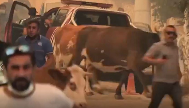 Kanal sahipleri özel hatla aranıp tehdit edildi iddiası! İşte televizyonların yayınlamadığı görüntüler...