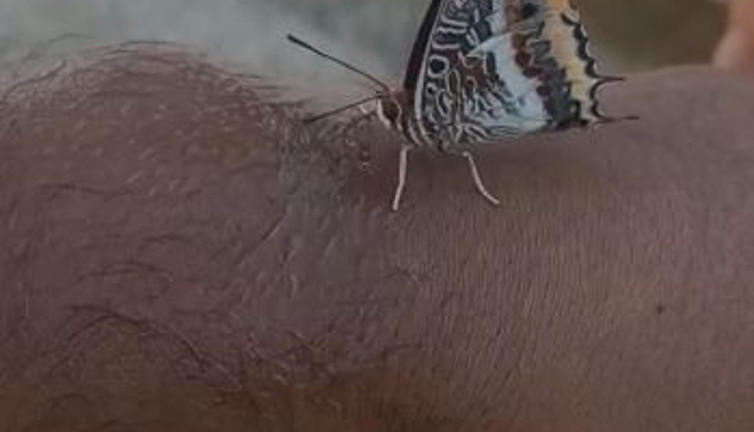 İbret, dehşet, hayret, kızgınlık ve acıyla izleyeceksiniz