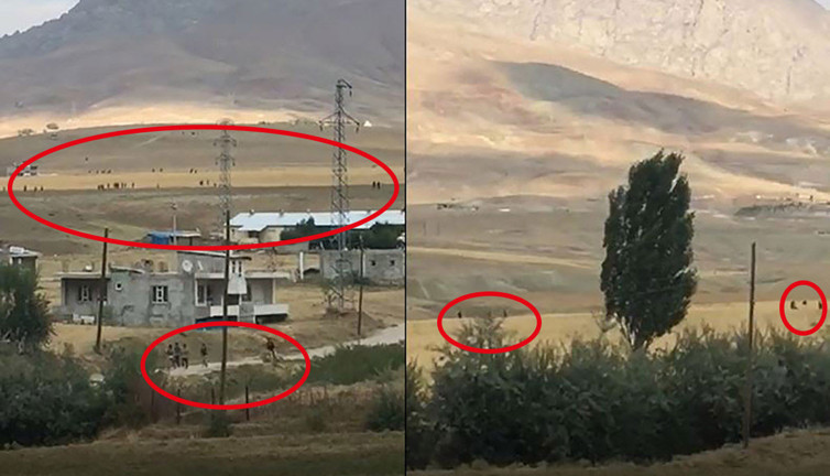 Buğdayı ezilen çiftçi feryat etti. Akın akın geliyorlar