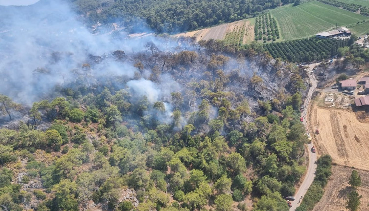 Köyceğiz’deki yangından bir kötü haber daha: Evler boşaltıldı, yangın Denizli sınırına dayandı