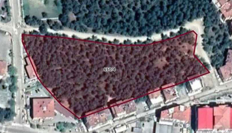 AKP'li belediye 13 dönümlük ormanlık alanı imara açtı