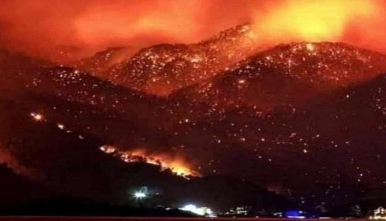 Cezayir'de orman yangınlarında ölü sayısı 7'ye yükseldi