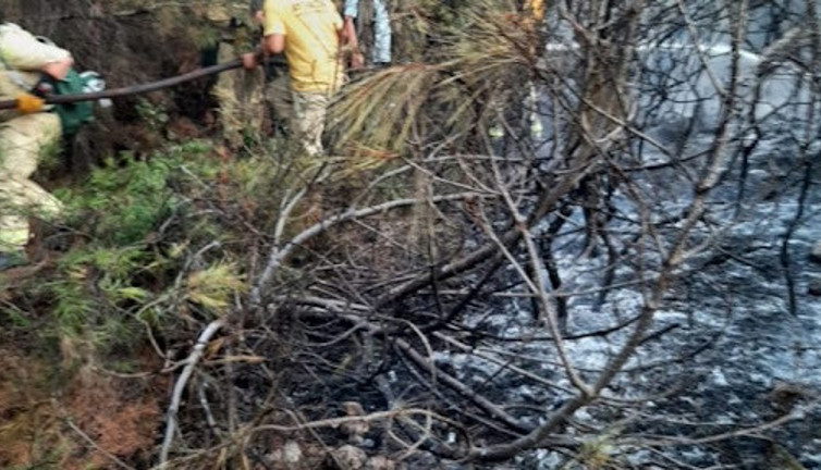 Çanakkale'de söndürülen orman yangını tekrar başladı