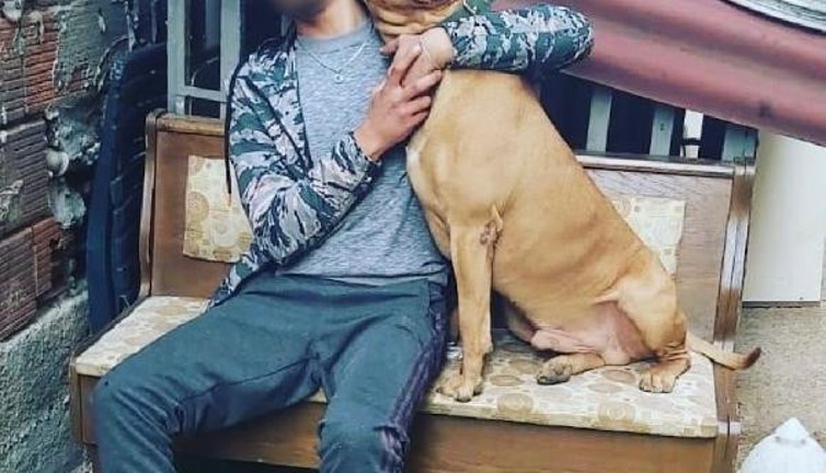 Pendik'te yüzen genci pitbull mu öldürdü