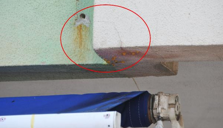 Antalya'da duvardan akan sarı suyun sırrı çözüldü