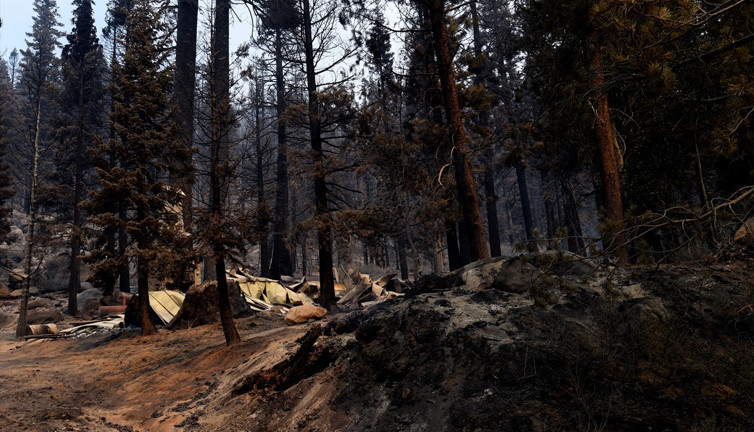 ABD'de iki haftadır süren yangın nedeniyle acil durum ilan edildi