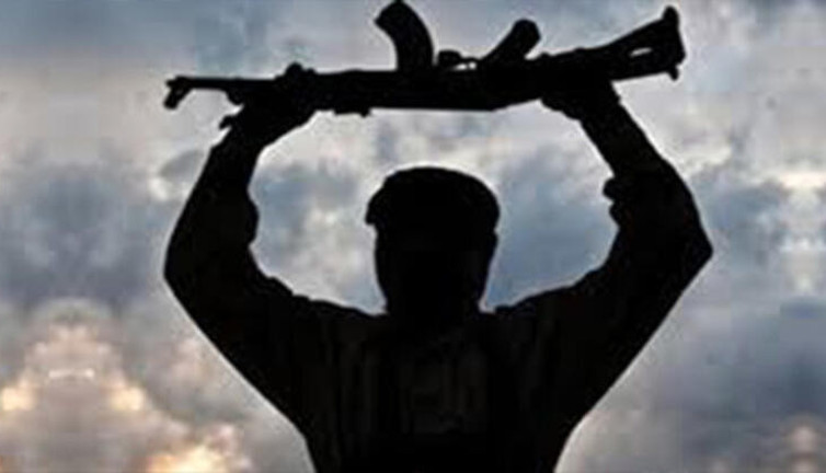 PKK'lı terörist ikna yoluyla teslim oldu (03 Eylül 2021)