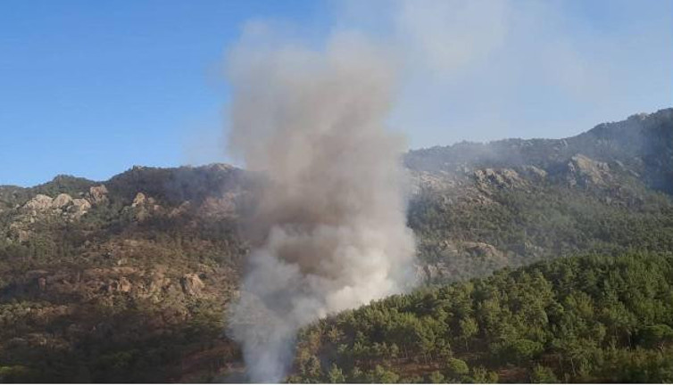 Milas'ta çıkan orman yangını kontrol altına alındı