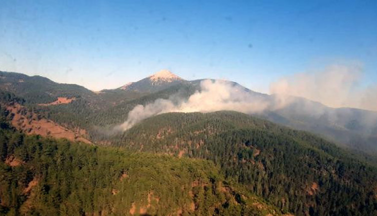 Adana'da orman yangını (04 Eylül 2021)