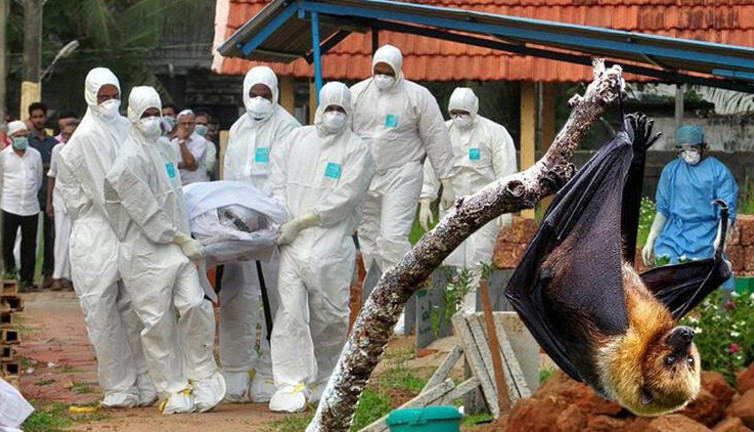 Koronadan 75 kat daha ölümcül