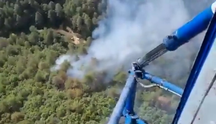 Balıkesir'deki orman yangını kontrol altına alındı