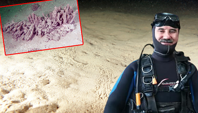 Odada oturan, intihal yapan değil su altına araştırma yapan Prof'tan büyük uyarı