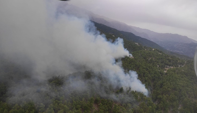 Manavgat'ta orman yangını