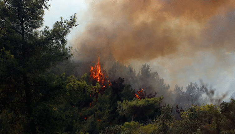 PKK'lı teröristten orman yangınlarıyla ilgili itiraf