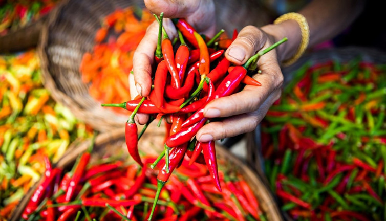 Nobel’e giden yolu acı biber açtı