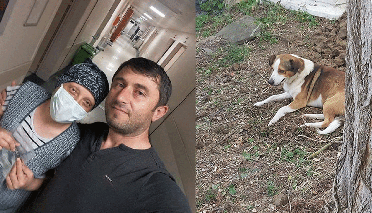 Ümit öldü Yoldaş'ı mezarının başından bir an olsun ayrılmadı