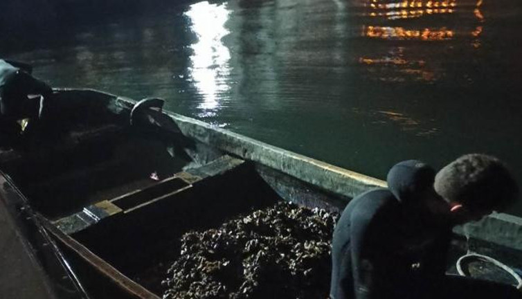 Yasa dışı avlanan midyeler denize bırakıldı