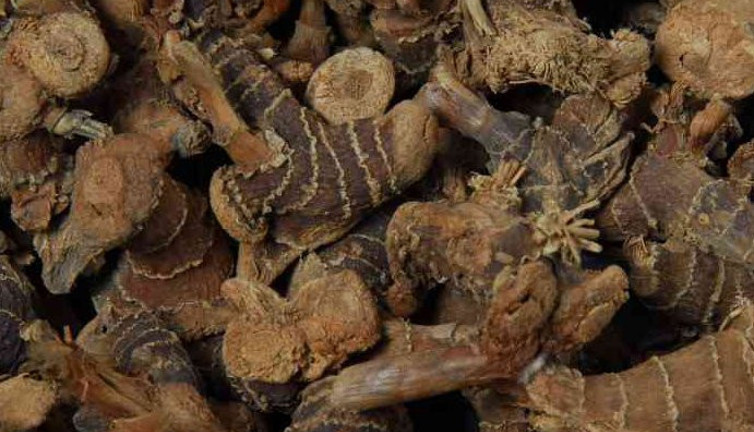 Bu besinler soğuktan koruyor içinizi fırın gibi ısıtıyor