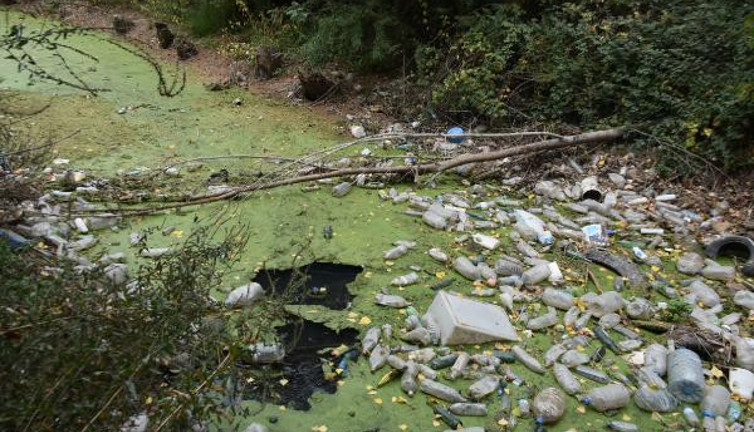 Kuruyan Bayır Deresi yeşile döndü vatandaş çöplüğe çevirdi