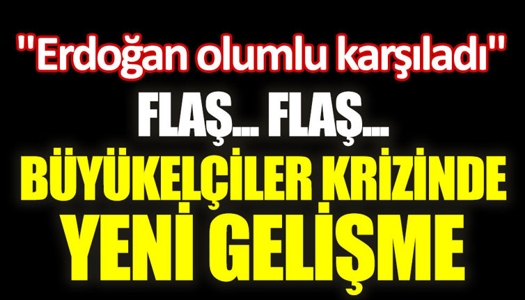 Son dakika... Büyükelçilerden geri adım geldi, Erdoğan olumlu karşıladı