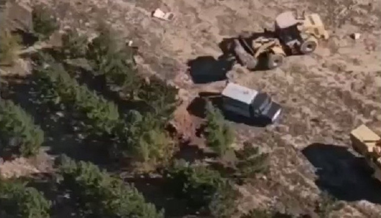 Kan donduran iddia: Onlarca köpek canlı canlı gömüldü