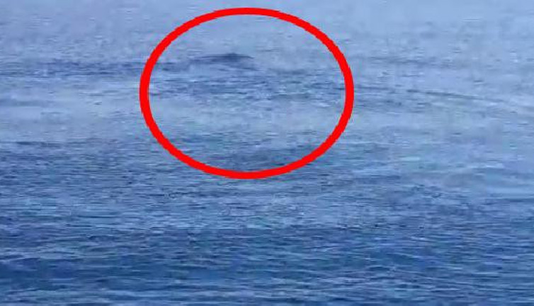 Van Gölü canavarı hortladı. Efsane geri döndü