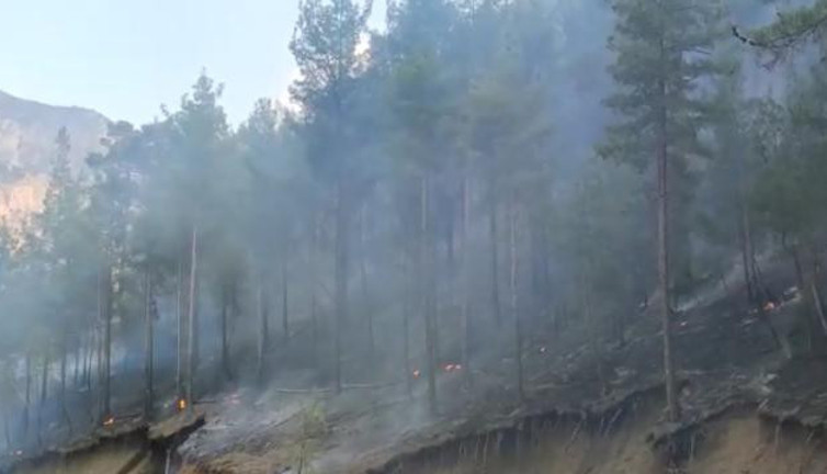 Adana'daki orman yangını kontrol altında (29 Ekim 2021)