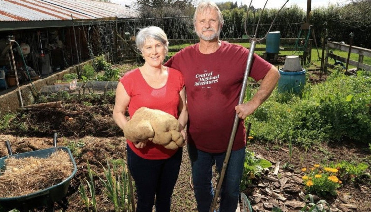 Bahçe bakımı yaparken şans eseri buldular