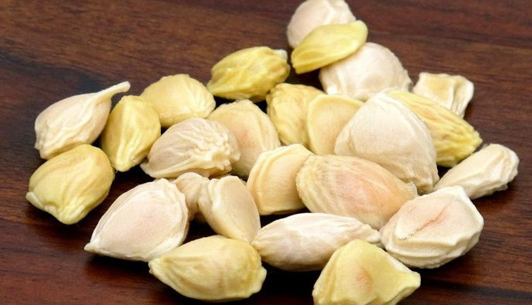 Çekirdeği altın kadar değerli antibiyotikten daha etkili