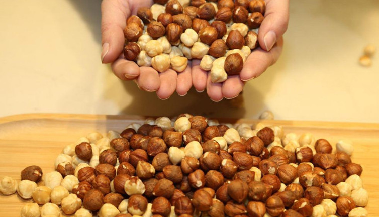 Avuç avuç yediğimiz fındıktaki büyük tehlike. Prof. Dr. Bülent Şekerel açıkladı