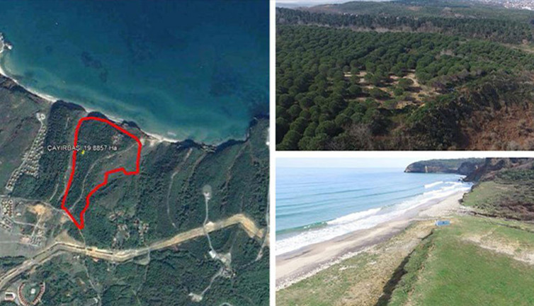 AKP'li Başkan denize sıfır araziyi AKP’li isme vermeyi CHP'li birini bulup ona mı vereyim şeklinde savundu