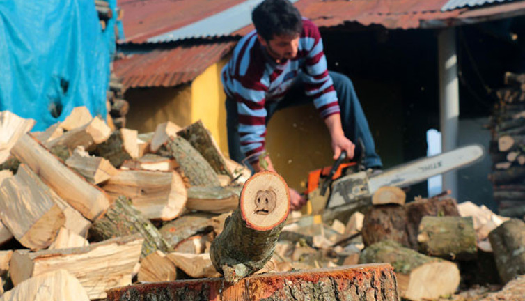 Trabzon'da odunu kesti bu defa ayı yavrusu figürü çıktı