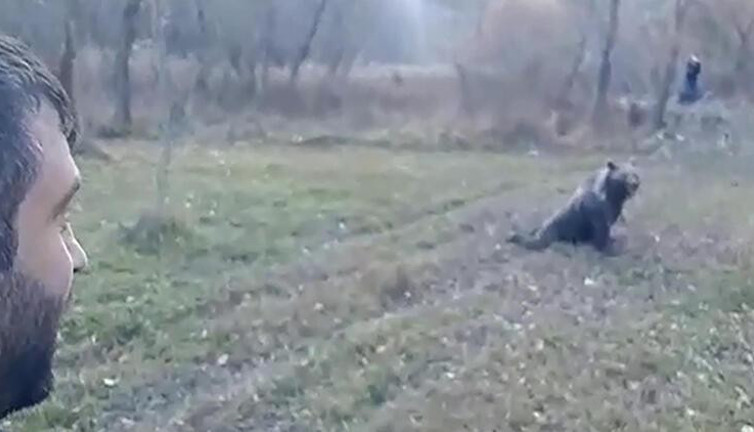 Kış uykusuna yatmayan ayıyı böyle uzaklaştırdılar