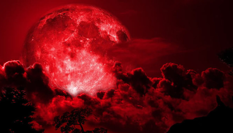 Kassandra kanlı ayın içinde gördüklerini titreyerek açıkladı