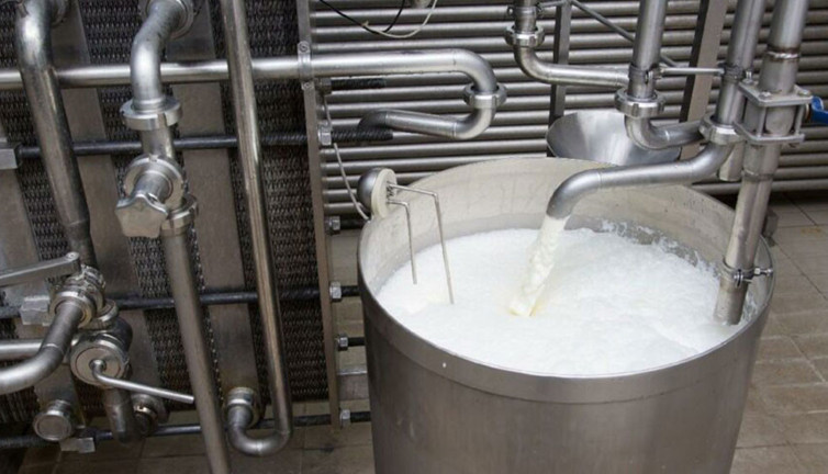 Süt sektörü de iflasın eşiğinde. Hayvanlar kesime gidiyor