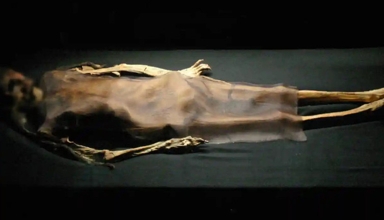 Peru'da 800 yıllık bir mumya bulundu