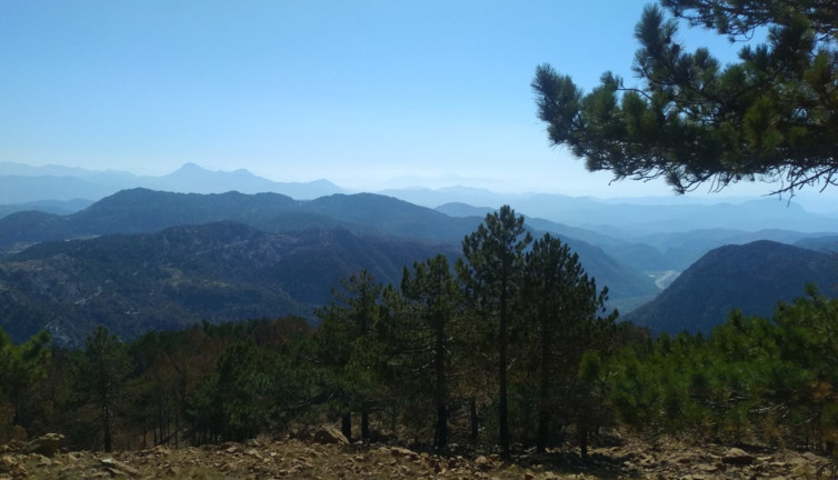 Sandras Dağı'nda bilirkişi raporu çıktı. ÇED raporu hazırlamak zorunda kalacaklar