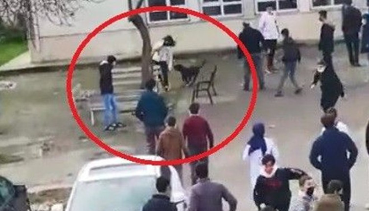 Lisenin bahçesine giren pitbull öğrencileri ısırdı. Durdurun bu pitbull vahşetini