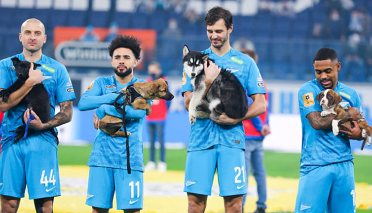 Rus takımı Zenit'ten alkış alan hareket! Sahipsiz köpeklerle sahaya çıktılar herkes takdir etti