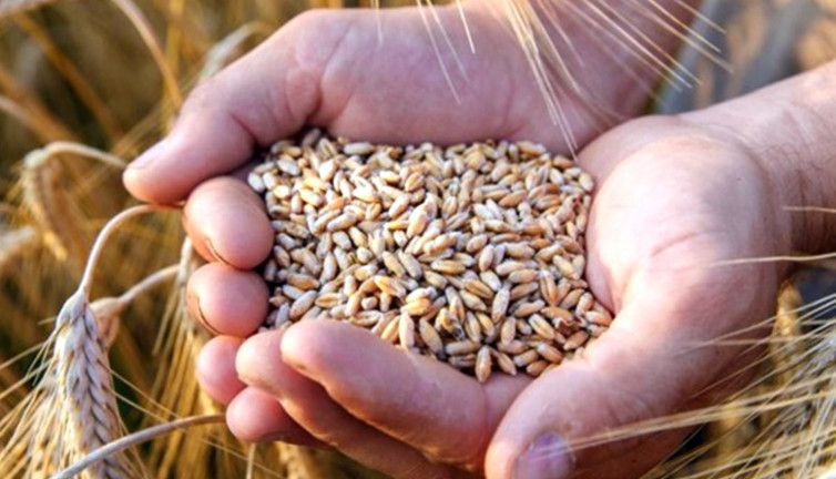 TMMOB: Gıda Krizi Kapımızda