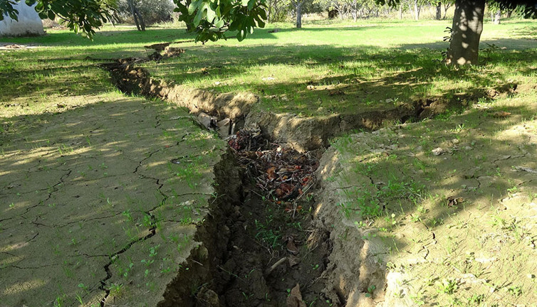 Germencik'te arazilerde oluşan dev çatlakların nedeni belli oldu. Büyük tehlike ortaya çıktı