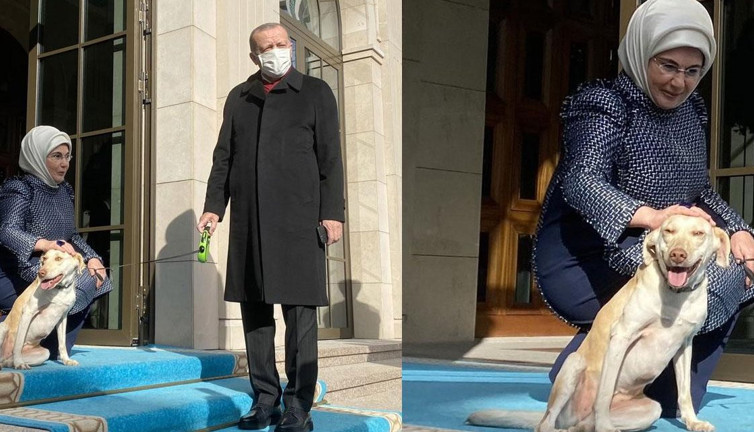 Erdoğan'ın 'Beyaz Türk' çıkışı akıllara bu fotoğrafları getirdi! 'Leblebi' paylaşımı hala sayfasında