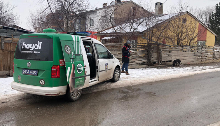 Sivas'ta okul çevresinde pitbull dolaştıran kişiye 14 bin 982 lira ceza