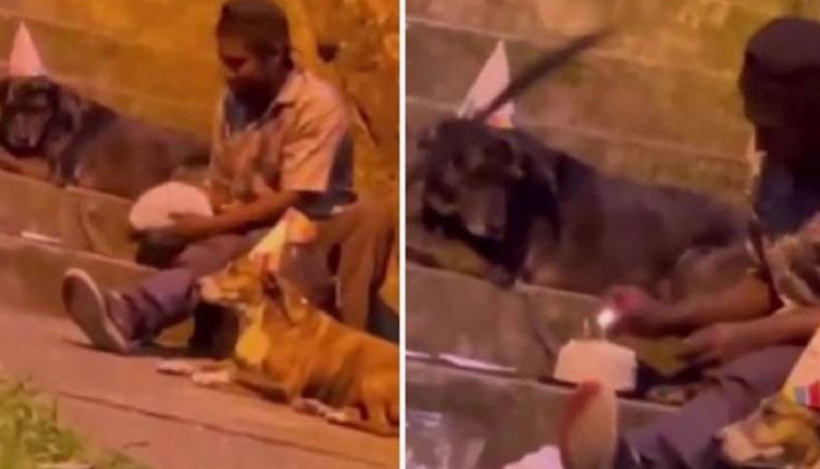 Sokakta yaşayan adam doğum gününü köpeklerle kutladı