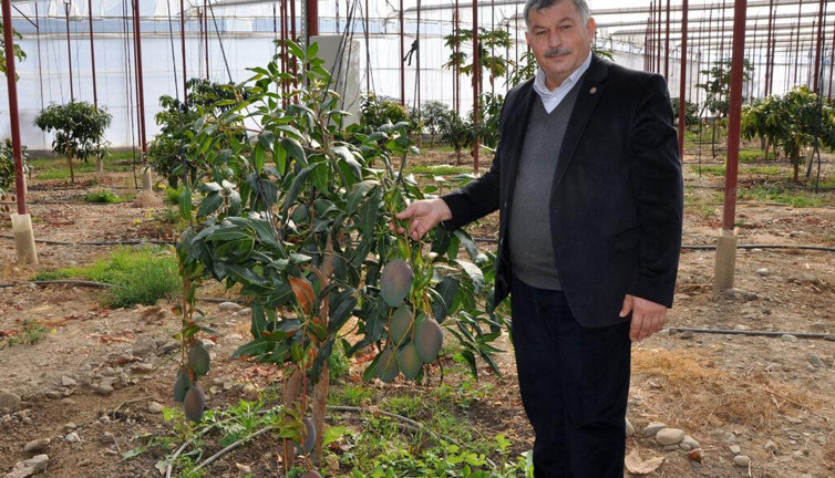 Tanesini 40 liraya satıyor yıllık kazancı 300 bin lira. 2 yılda 2 kat arttı