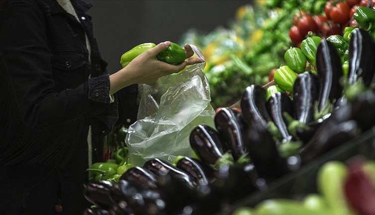 Prof. Dr. Sinan Alçın: Enflasyon mayıs ayına doğru yüzde 65’lere çıkabilir