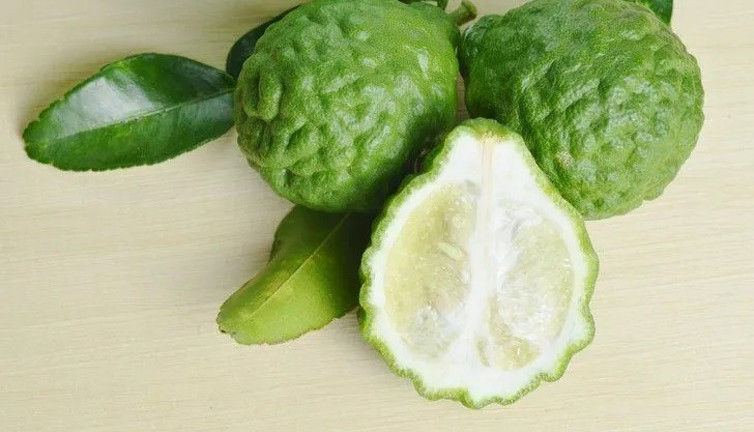 Yağlanmayı 30 günde bitiren mucize bitki